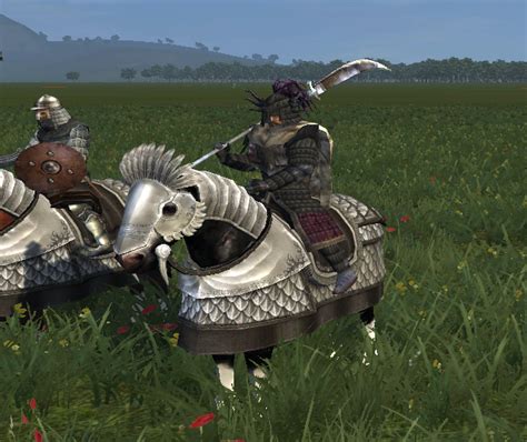 medieval 2 reskin king general.